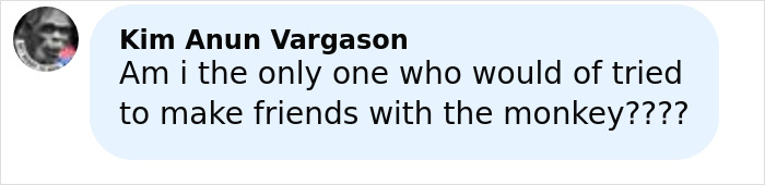 Comment from Kim Anun Vargason questioning if they are the only one who would try to befriend an escaped research monkey online.