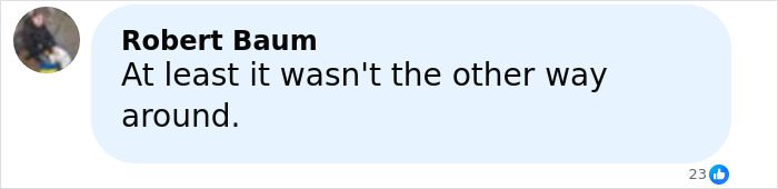 Comment by Robert Baum in online debate about woman slaying escaped research monkey to protect children.