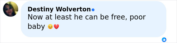 Comment from Destiny Wolverton expressing sympathy about escaped research monkey during heated online debate.