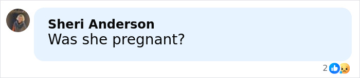 Screenshot of a social media comment asking if the influencer was pregnant amid mystery after Christmas party vanishing.