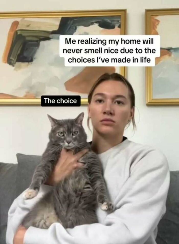 A person holding a gray cat with text about realizing home won't smell nice with cat memes humor.