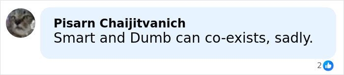 Screenshot of a Facebook comment stating smart and dumb can coexist, related to the world&rsquo;s smartest man from South Korea mocked online.