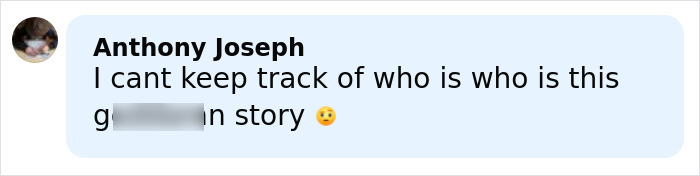 Man typing a comment about the father of teen slain on cruise and alleged affair with 15YO babysitter.