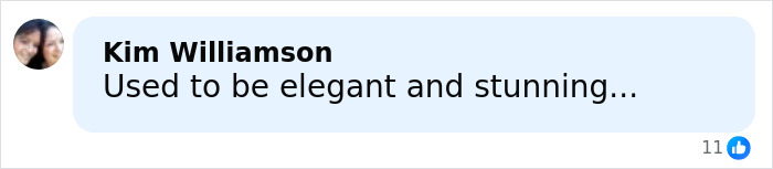 Comment from Kim Williamson saying used to be elegant and stunning, in a light blue text bubble with a small profile picture. Comment from Kim Williamson saying used to be elegant and stunning, in a light blue text bubble with a small profile picture.