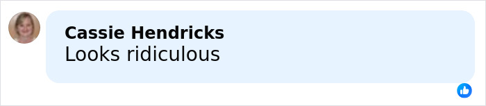 Comment by Cassie Hendricks saying looks ridiculous in a social media reply bubble. Comment by Cassie Hendricks saying looks ridiculous in a social media reply bubble.