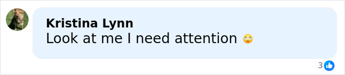 Comment on social media platform by Kristina Lynn stating she needs attention with an eye-rolling emoji included. Comment on social media platform by Kristina Lynn stating she needs attention with an eye-rolling emoji included.