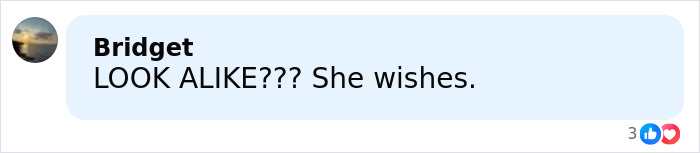 Comment saying LOOK ALIKE She wishes in a social media post with reactions shown below