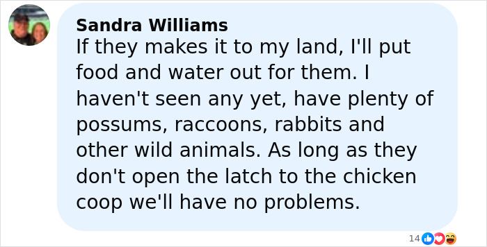 Comment from Sandra Williams discussing wildlife including escaped research monkey and protecting children from wild animals.