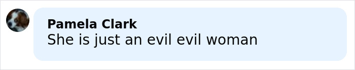 Screenshot of a social media comment calling a woman evil, related to influencer who snatched baby wombat getting arrested.