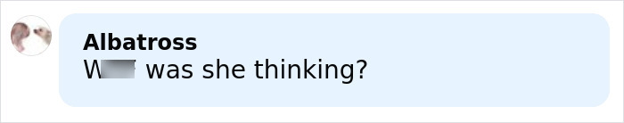 Screenshot of a social media comment reacting to the influencer who snatched baby wombat on camera and was arrested.