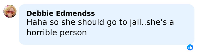 Comment from social media user Debbie Edmendss expressing that the influencer who snatched baby wombat should go to jail.