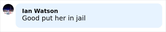 Comment saying put her in jail, related to influencer who snatched baby wombat on camera getting arrested.