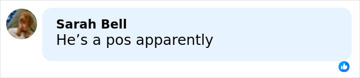 Text message conversation mentioning a negative opinion related to Millie Bobby Brown and David Harbour’s complex relationship. Text message conversation mentioning a negative opinion related to Millie Bobby Brown and David Harbour’s complex relationship.