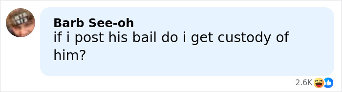 Comment on social media post asking if posting bail would grant custody of the man involved in the viral mugshot incident.