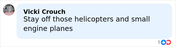 Comment by Vicki Crouch warning about helicopters and small engine planes, related to celebrity chef tragic accident concerns.
