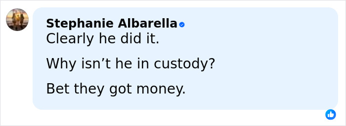 Screenshot of social media comment by Stephanie Albarella expressing suspicion and concern about custody in a stepbrother obsession case.