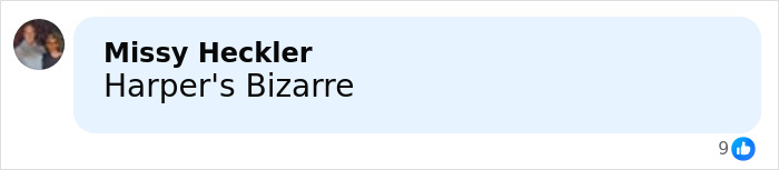 Comment mentioning Harper's Bizarre by user Missy Heckler with 9 likes on a social media post.