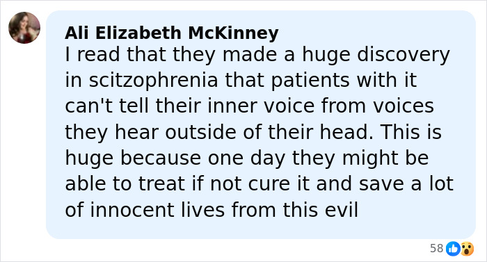 Screenshot of Facebook comment discussing schizophrenia and its potential to save innocent lives by treating inner voice confusion.