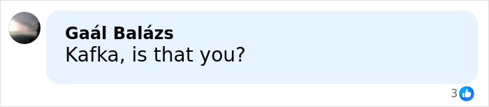 Screenshot of a social media comment saying Kafka, is that you, related to man accused of taking lives claim.