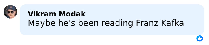 Man, 25, comments on Kafka, relating to bizarre claim about cockroach ordering him to take two lives.