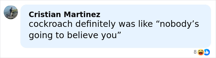 Screenshot of a social media comment mentioning a cockroach and disbelief related to a man accused of taking two lives.