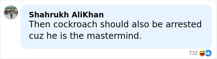 Screenshot of a social media comment mentioning a cockroach as the mastermind related to a m****r case involving a 25-year-old man.