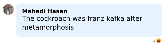 Comment on social media post about cockroach and Kafka referencing unusual m****r claim and Kafka metamorphosis theme.