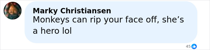 Comment reading monkeys can rip your face off, praising woman as a hero after she protects her children from escaped research monkey.