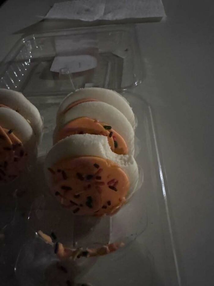 Partially eaten frosted cookies with sprinkles in a plastic container, illustrating messy times people share online instead of therapy.