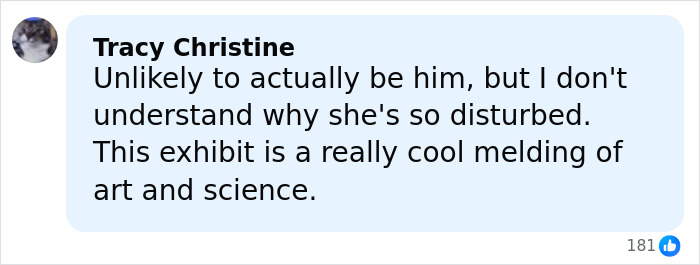 Comment by Tracy Christine expressing doubt about mom&rsquo;s claim of skinned body in Las Vegas museum but praising the exhibit&rsquo;s blend of art and science.