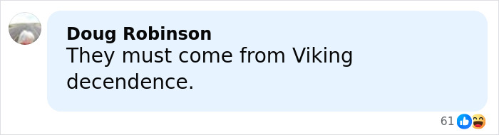 Screenshot of a social media comment discussing Viking descent in relation to two men arrested over a violent plan.