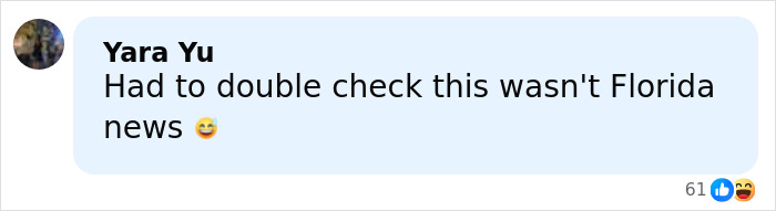 Screenshot of a social media comment expressing disbelief about news involving two men arrested over a violent plan.