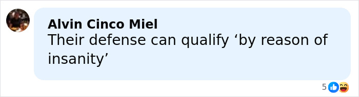Comment by Alvin Cinco Miel discussing a defense claim of reason of insanity in a serious legal context.