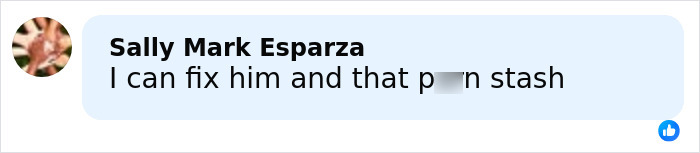 Screenshot of a Facebook comment discussing a man's viral mugshot known as the next Brad Pitt after a police incident.