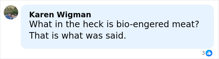 Comment from Karen Wigman questioning bio-engineered meat in leaked audio exposing Campbell's executive comments on soup ingredients.