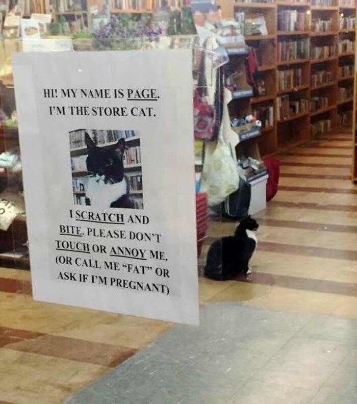 Store cat named Page inside bookstore with a warning sign about scratching and biting, fitting cat memes humor.