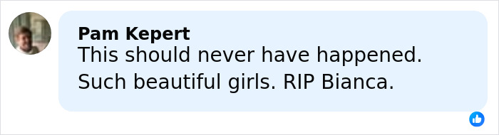 Comment from Pam Kepert expressing grief and warning parents against travel after daughters lose their lives on vacation.