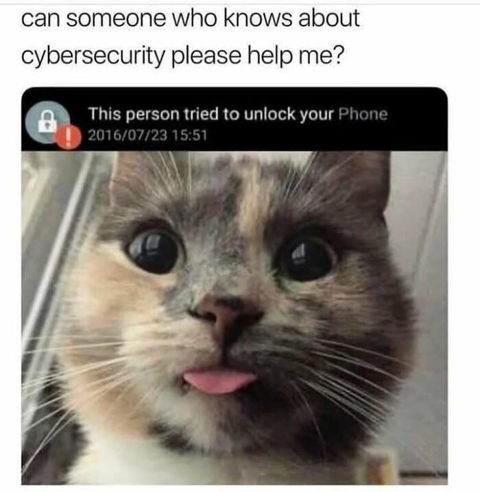 Close-up of a cat sticking out its tongue under a fake phone security alert, a funny cat meme for cat lovers.
