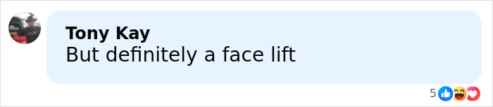 Screenshot of a social media comment discussing a facelift amid LeAnn Rimes plastic surgery rumors.