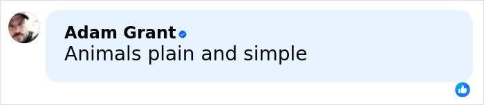 Profile picture of a man next to a comment bubble reading Animals plain and simple on a light blue background