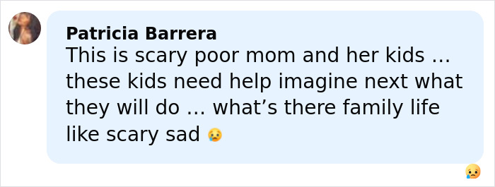 Comment from Patricia Barrera expressing concern about a pregnant woman attacked by a mob of young school kids.