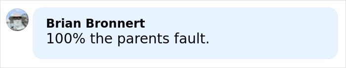 Comment by Brian Bronnert stating 100 percent the parents fault after pregnant woman attacked by mob of school kids.