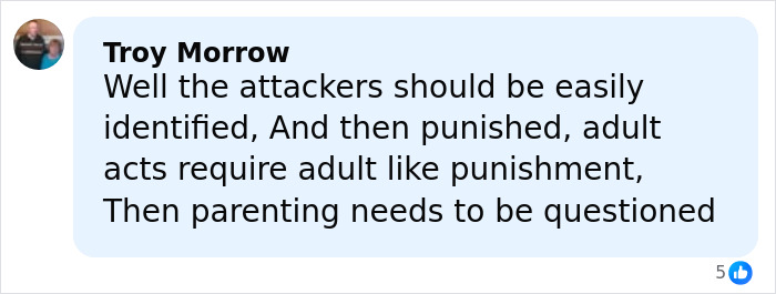 Alt text: Social media comment discussing accountability and punishment for attackers in incident involving pregnant woman and school kids