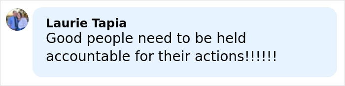 Comment from Laurie Tapia emphasizing accountability for actions in an online discussion about a viral mom trial.