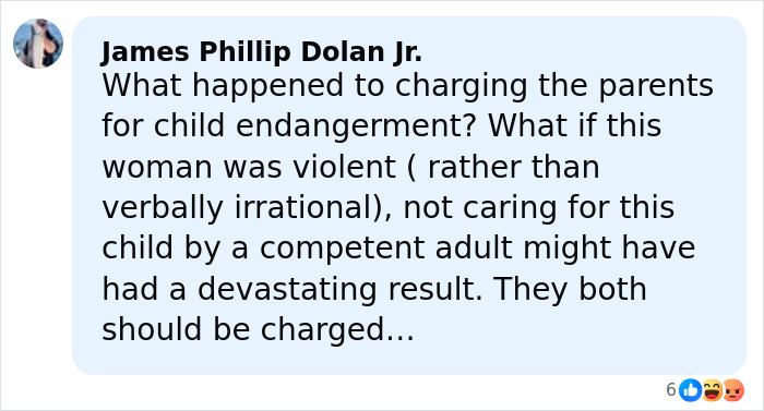 Screenshot of a Facebook comment discussing charges related to the viral mom who called autistic boy the N-word.