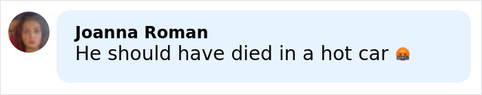 Screenshot of a social media comment expressing anger about a dad leaving a toddler in a hot car while watching adult videos.