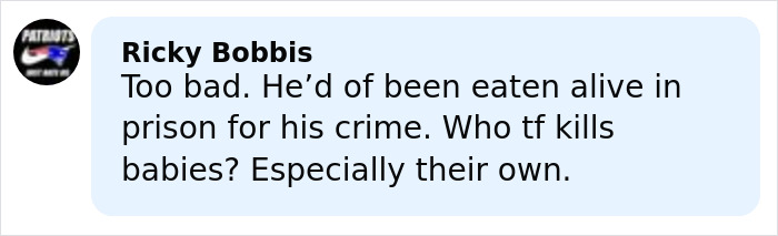 Social media comment about a tragic case involving a toddler left in a hot car and the father's subsequent actions.