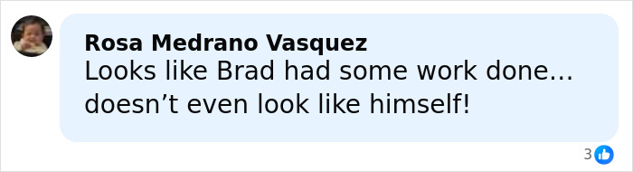 Comment mentioning Brad Pitt's appearance, stating he doesn't even look like himself, sparking speculation online.