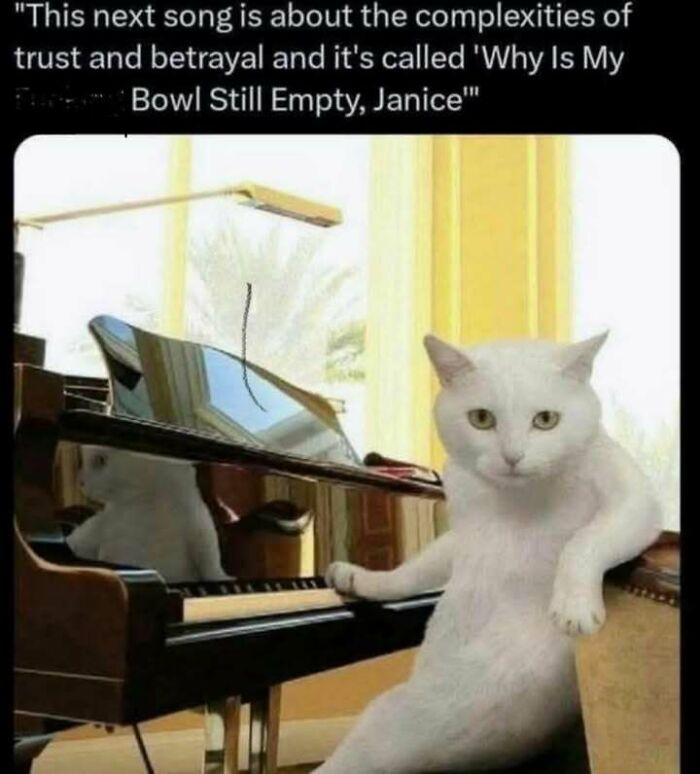 White cat posing with one paw on a piano, reflecting humor and charm from popular cat memes for fans to enjoy.