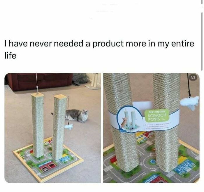 Cat memes featured with a humorous cat scratching post resembling twin towers on a playmat floor.